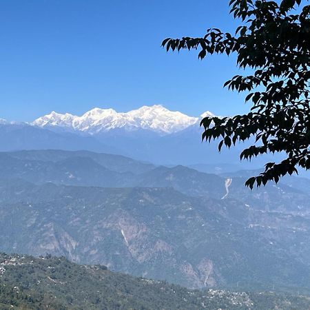 Forest Lodge - 80 Mts From Mall Road Darjeeling  Exterior photo