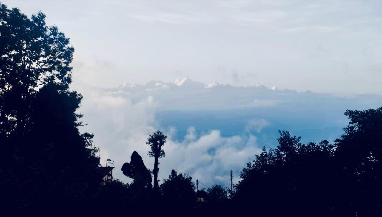 Forest Lodge - 80 Mts From Mall Road Darjeeling  Exterior photo
